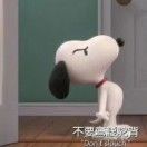 丹丹_wUbx