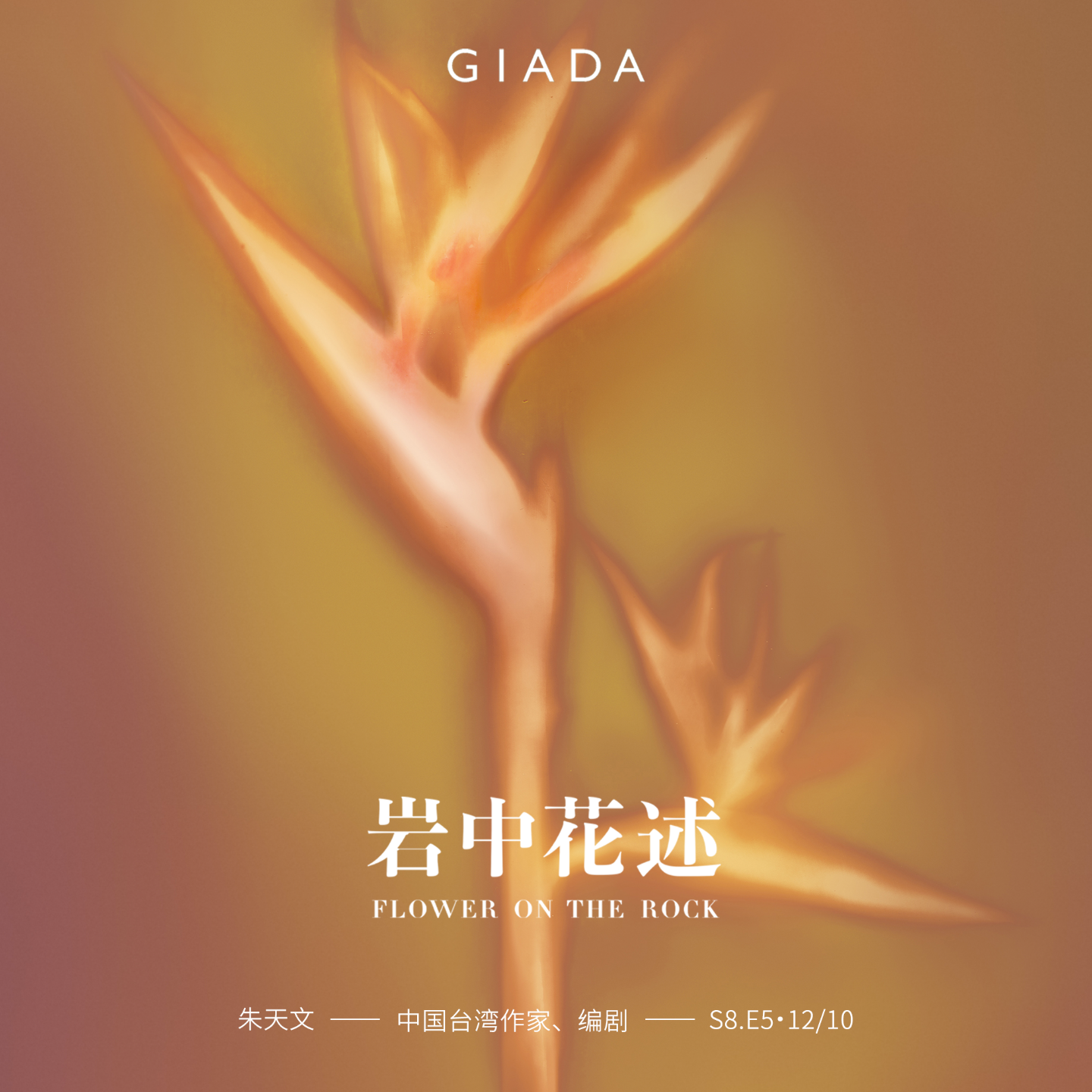 S8E5 鲁豫对话朱天文 | 他已登岸归家，吾独续写「巫」言