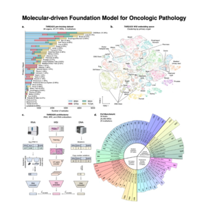 194-THREADS: Foundational AI Model for Histopathology