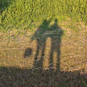 关于和好、前任、占有欲(现场原声)