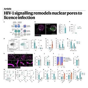 1032-HIV-1 Signalling Remodels Nuclear Pores