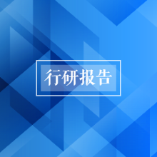 行业发展研究报告