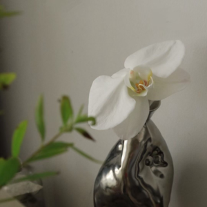 断舍离不是扔扔扔,是选择我想要的人生|第二季vol.03