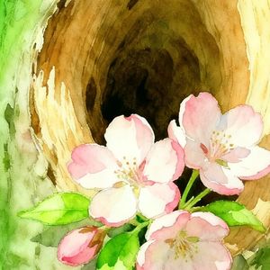 podcaster-avatar
