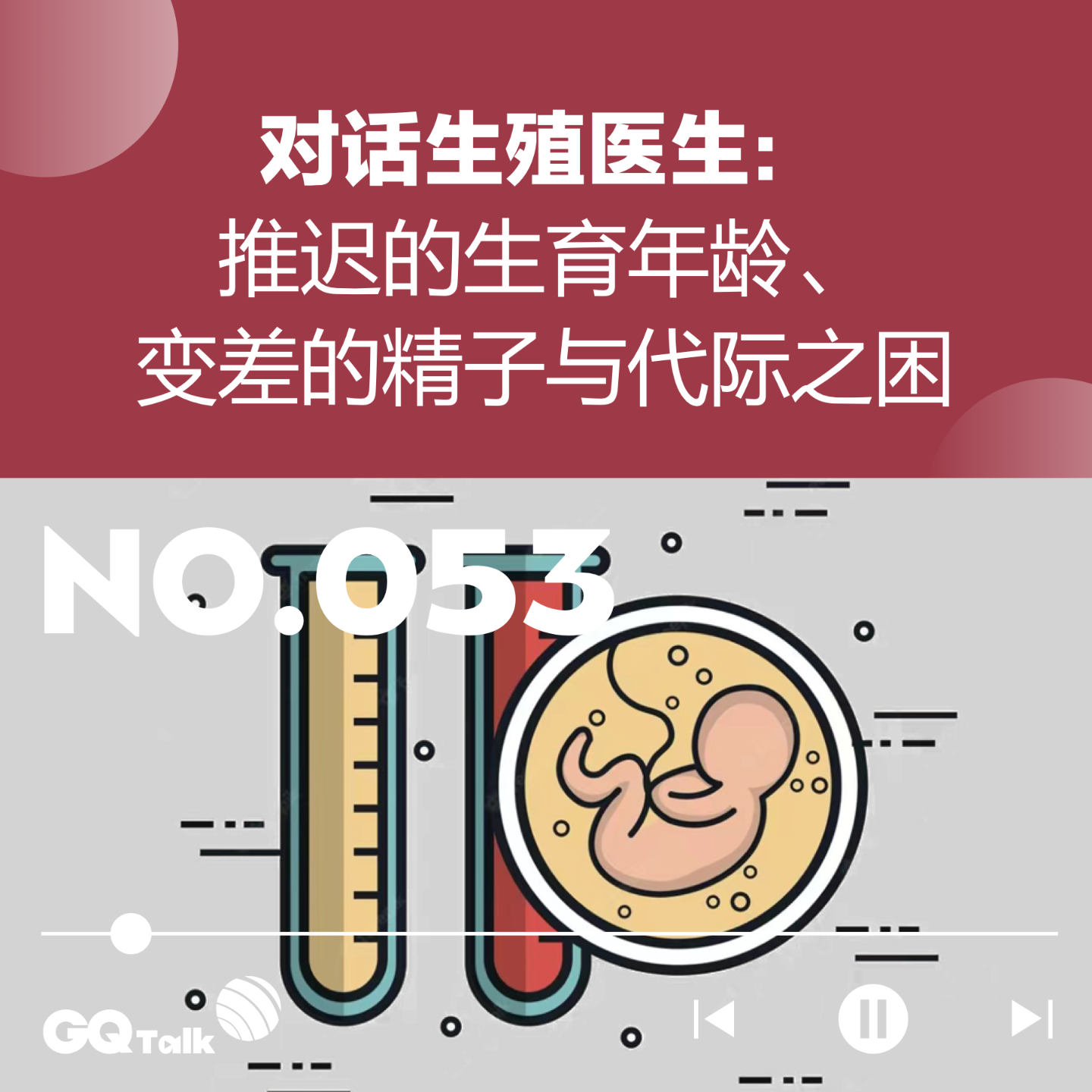 cover of episode 【053】对话生殖医生：推迟的生育年龄、变差的精子与代际之困