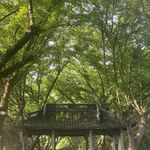 35 AI能代替心理咨询吗？三年长程咨询+百万字AI对话后的答案