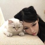 羊乳果