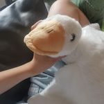 tf_yzl