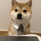 小张小张非常嚣张