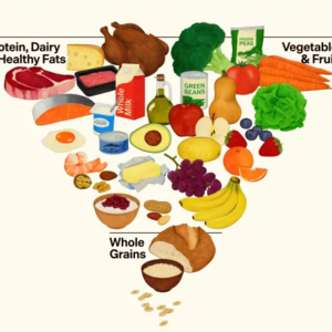 2026食物金字塔倒转：蛋白质脂肪上位，糖类靠边站