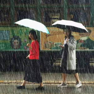 上海的历史与文化 | 故乡，你有一封温暖的信件待查收