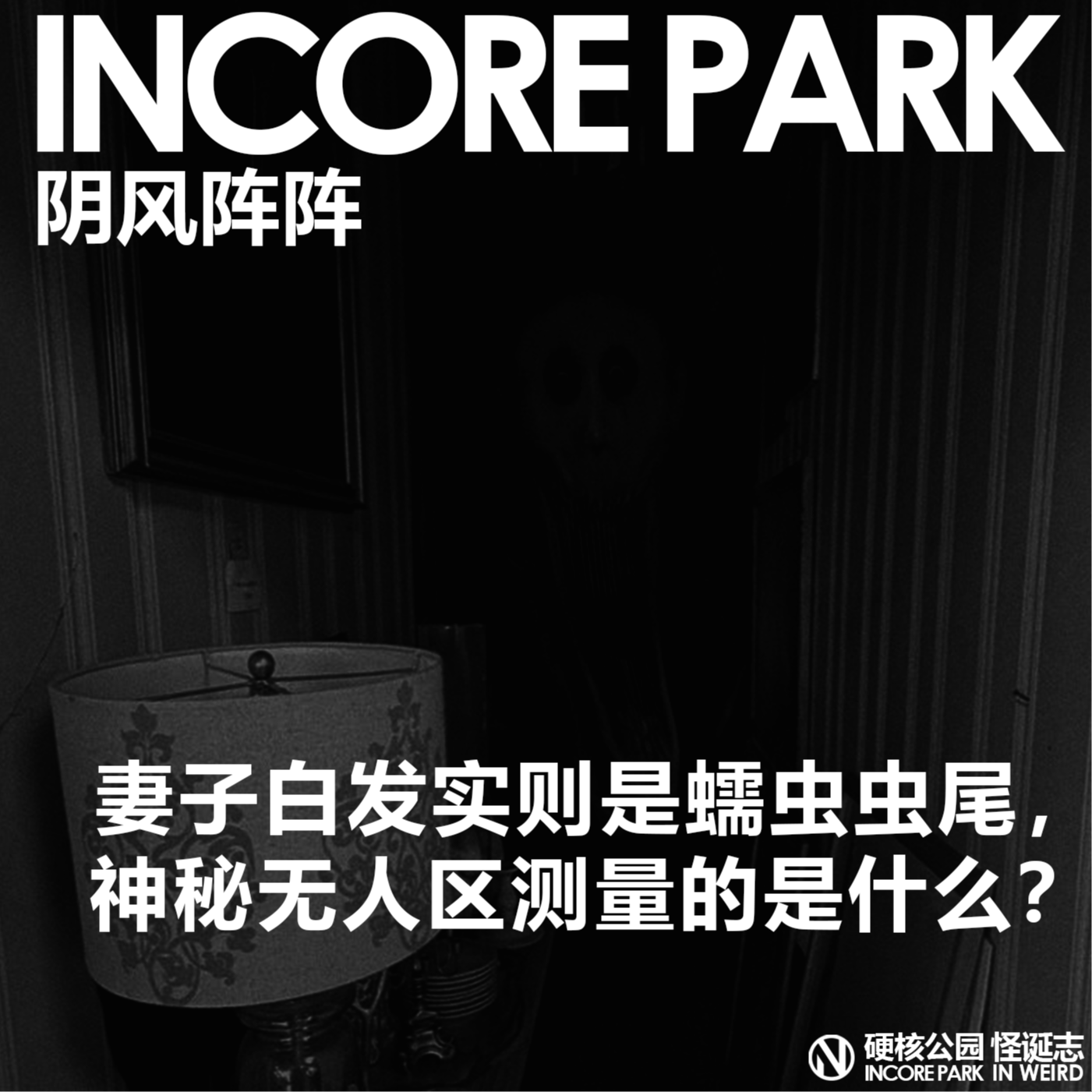 vol.409 IN风阵阵 妻子的白发实则是蠕虫虫尾，神秘无人区测量的是什么？ episode artwork