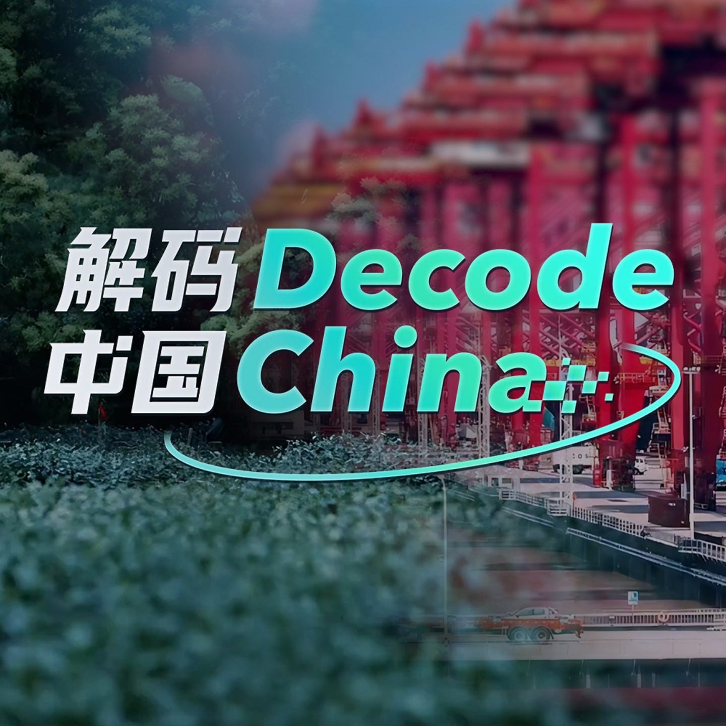 Decode China 解码中国