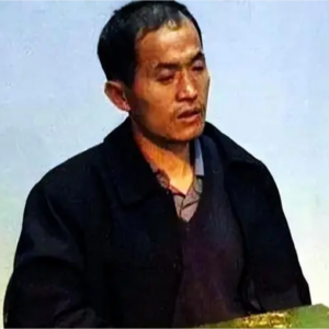 河南第一悍匪杨新海