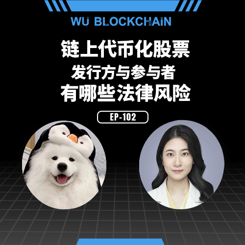 EP-102 链上代币化股票: 发行方与参与者有哪些法律风险