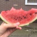 夏天的风_WydD