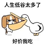 哈哈哈哈哈密瓜hhh
