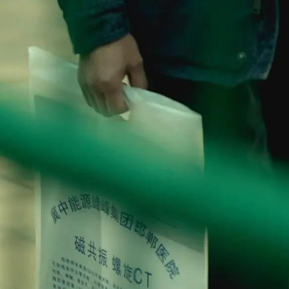 从零开始聊《山河故人》：贾樟柯与他的「山河四省」 episode artwork