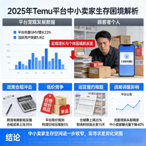 不再追求爆 而是不死! Temu中小卖家在2025年的集体困境