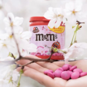 小红书营销革命：品牌与文化的融合创新之旅（下）