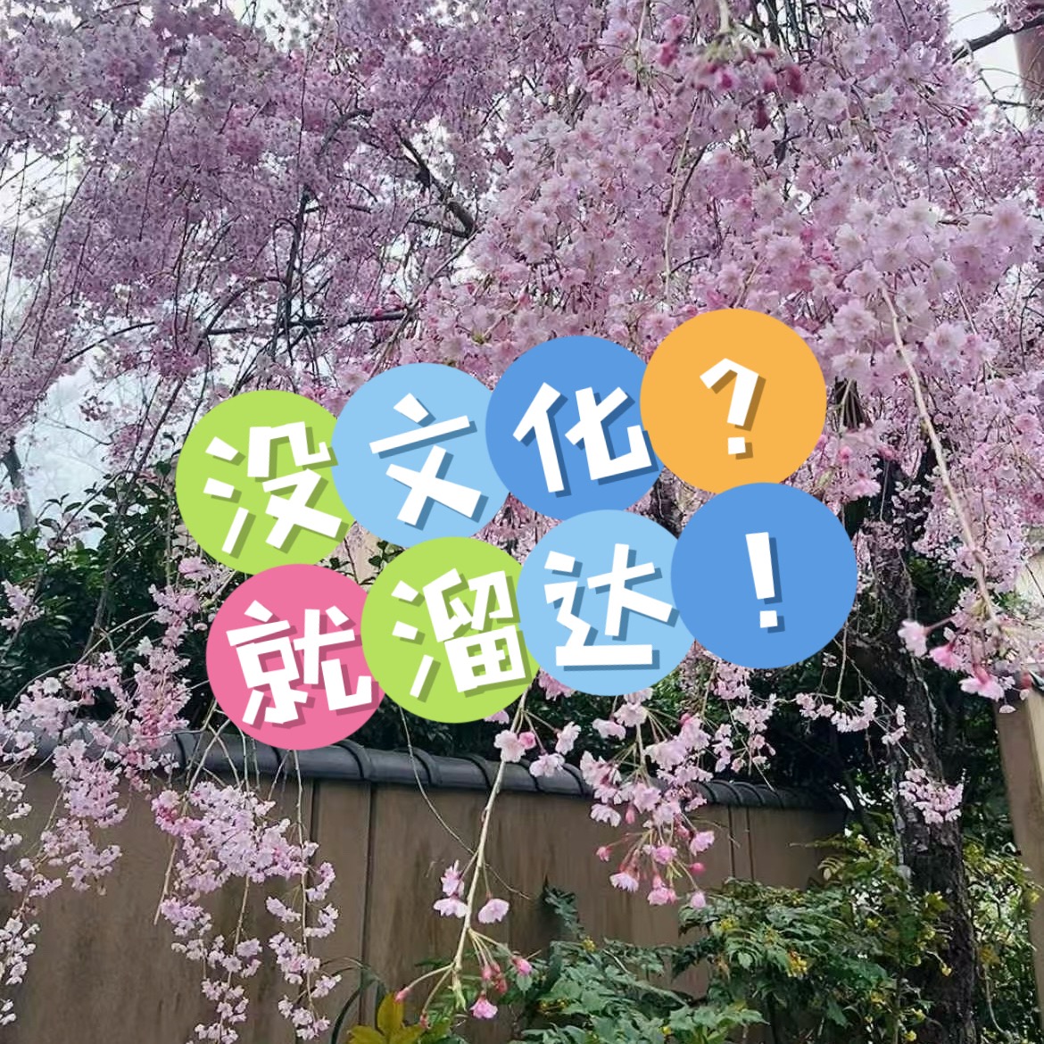 没文化就溜达 podcast artwork