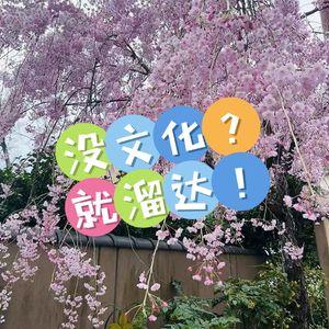 没文化就溜达