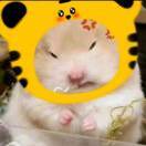 2306_howooii