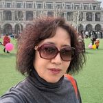 岩浆中的富贵竹