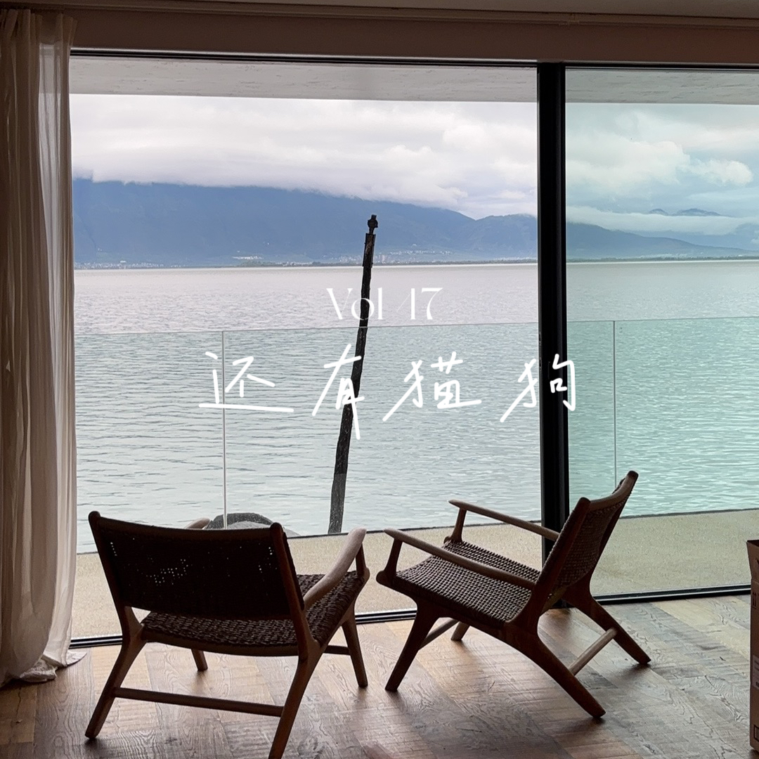 47 我终于养成了“悬而未决”的美德 episode artwork