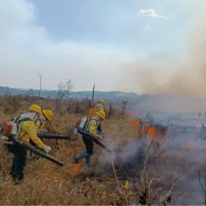 09. 给亚马逊的颂歌