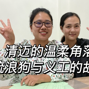 21集-泰国清迈的温柔角落，流浪狗和义工的故事