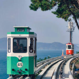 155. 躲得了MBTI 逃不过SBTI