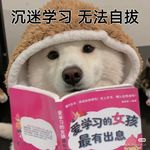 胖虎-沉迷AI机器人版