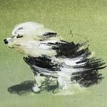 七月快乐风