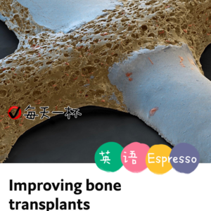 【75】骨移植取得进展