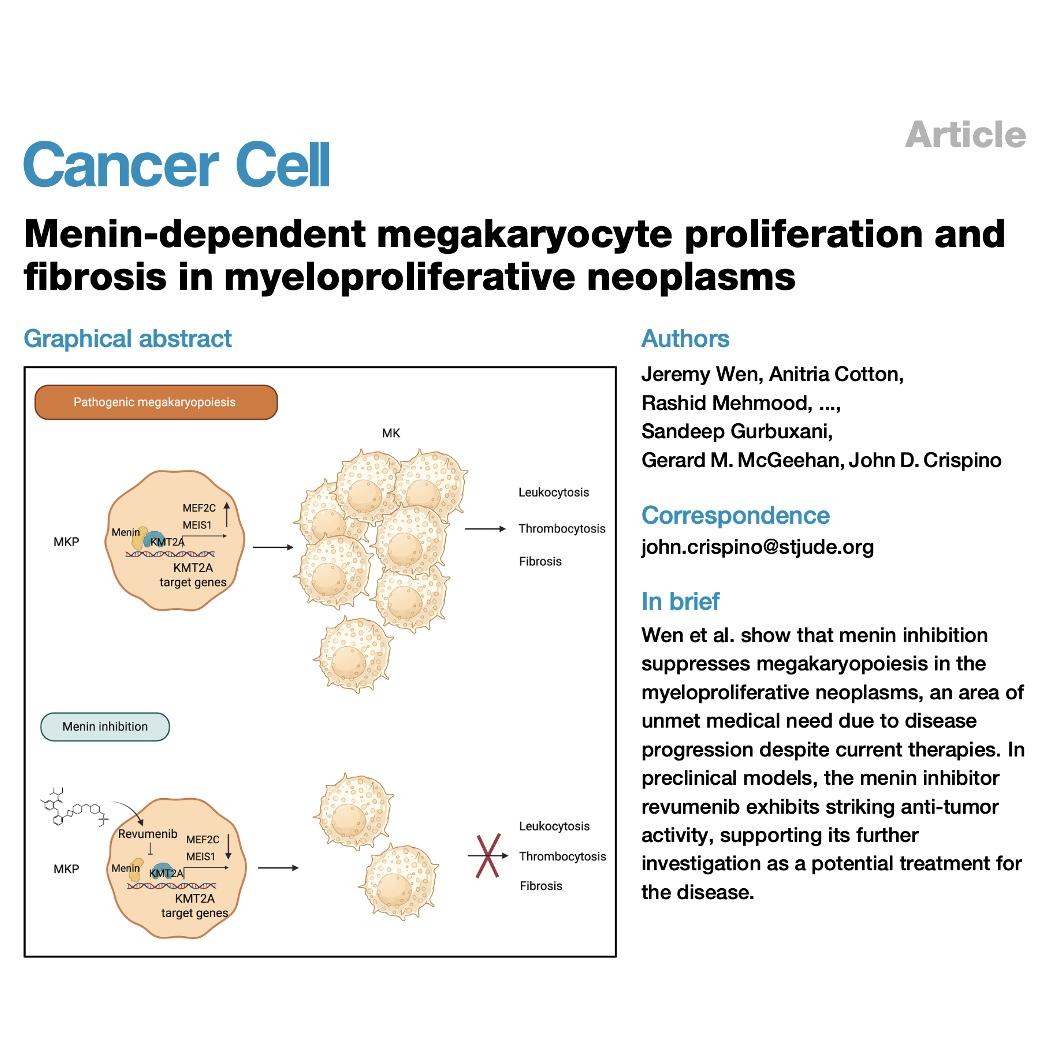 1352-Menin Inhibition Targets Pathogenic Megakaryopoiesis episode artwork