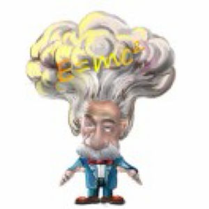 ERP 实施顾问导师