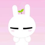 莲襼