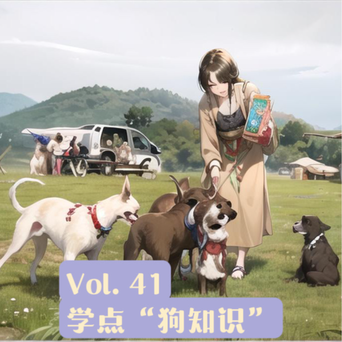 Vol.41 对话训犬师Morning：人狗关系紧张，是不是无解了？ episode artwork