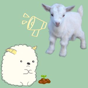 小羊咩咩~