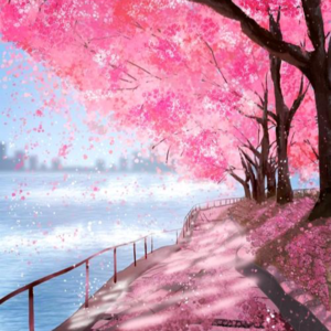 闲话少说，审美这事儿能有什么心眼子/白洲正子“寻美之旅”/关于古董、北大鲁山人、黑田辰秋与贝壳