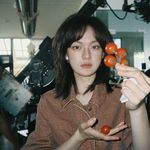 狂野时代的小熊