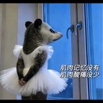 QQ已存在