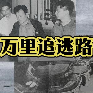 101.万里追逃路|老警察讲故事