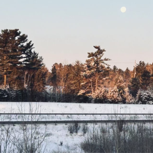 Vol.3 摆脱投行“高富帅“身份，他在加拿大快乐地捡垃圾