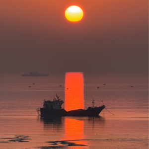 尕猫：地球是个监狱。