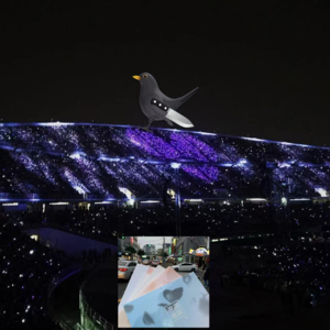 007｜《90后的前半生》 之 追星人至死是少女