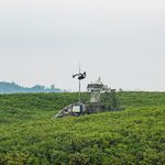 陈博洋