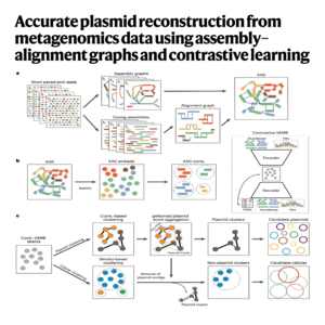 755-基于图学习与对比学习的宏基因组质粒重构研究