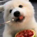 乔治_sPab